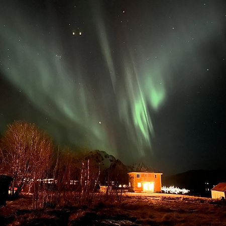 Pederstua, A Classic Fisherman'S Farm House In The Middle Of Lofoten Storeidet Екстериор снимка